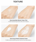 Etude - Soon Jung 2x Barrier Intensive Cream | Crema 60 ml