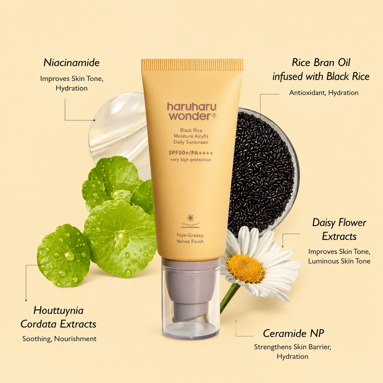 Haruharu Wonder - Black Rice Moisture Airyfit Daily Sunscreen | Protector solar 50 ml