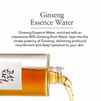 Beauty of Joseon - Ginseng Essence Water | Tónico 150 ml