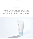 Round Lab 1025 Dokdo Cleanser
