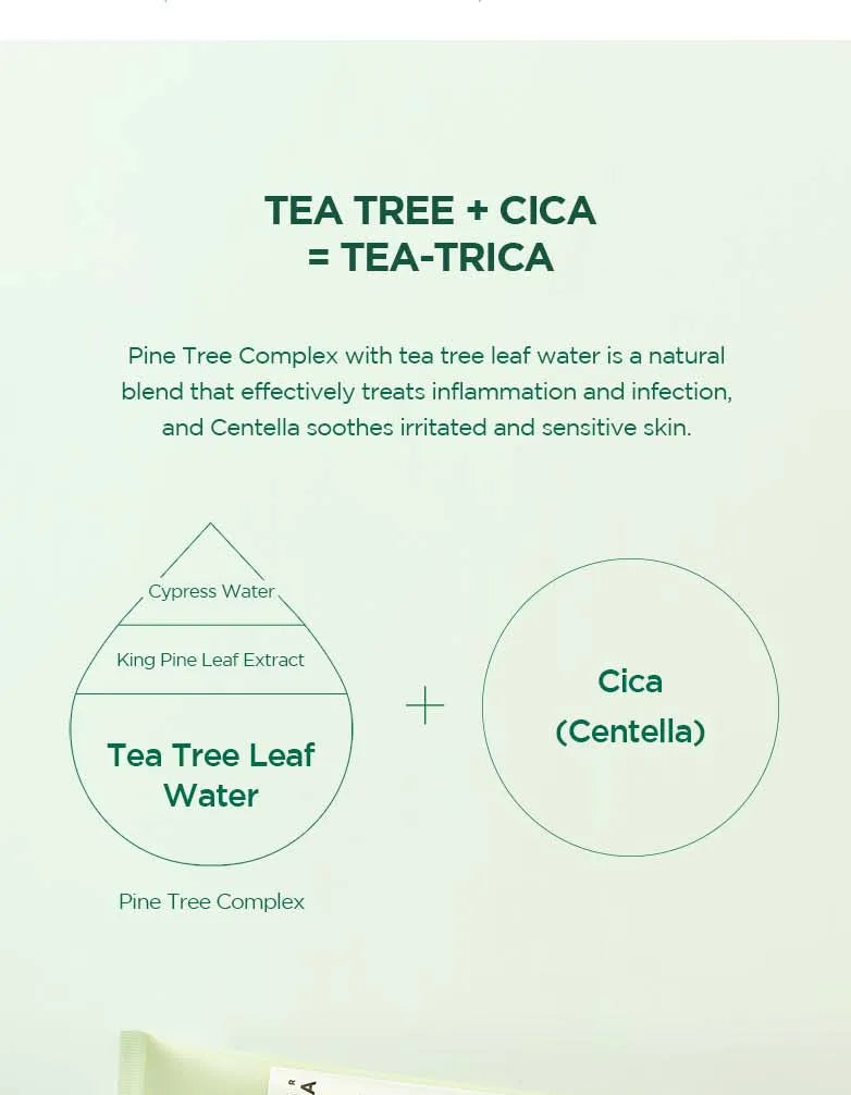 SKIN1004 Madagascar Centella Tea-trica BHA Foam