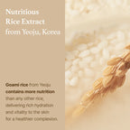 I’m from Rice Toner